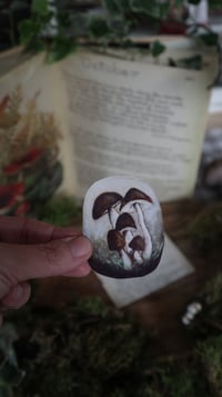 Image 1 of Psathyrella hydrophila stickers