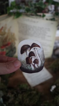 Image 2 of Psathyrella hydrophila stickers