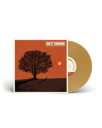 Image 1 of What's Behind Us Never Fades Vinyl