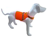 Image 1 of Blaze Vest