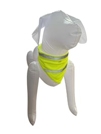 Image 1 of LumiScarf