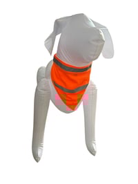 Image 2 of LumiScarf