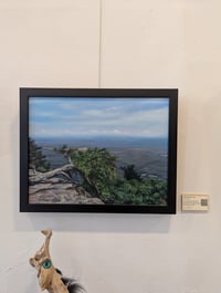 Alex Taylor – Fallen Red Pine (2022)