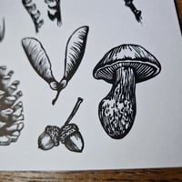 Image 3 of ☆Woodland Card☆