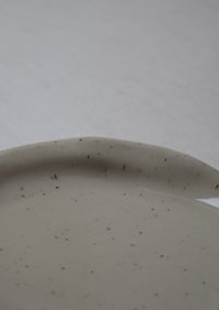 Image 5 of assiette moucheté 