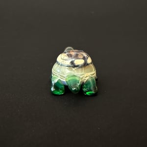 Image of No Funcs Given / Turtle #2