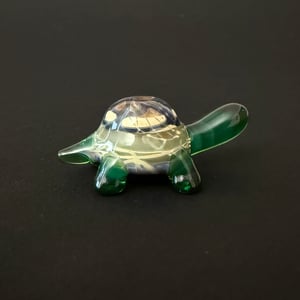 Image of No Funcs Given / Turtle #2