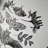 Image 3 of ☆Bat & Moth Print☆