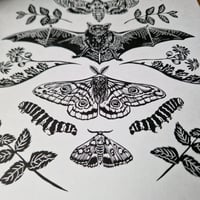 Image 2 of ☆Bat & Moth Print☆