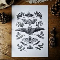 Image 1 of ☆Bat & Moth Print☆