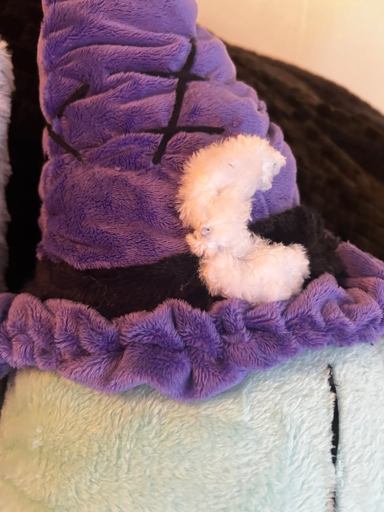 Image of Witchy Gibbie