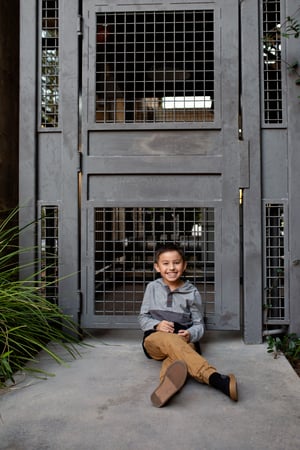 Image of Family Minis the PEARL - NOV 9TH