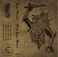 Image 4 of Tomb Wizard - What Lies Ahead