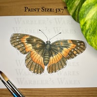 Image 1 of Bordered Patch Butterfly Watercolor Painting Print