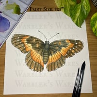 Image 2 of Bordered Patch Butterfly Watercolor Painting Print