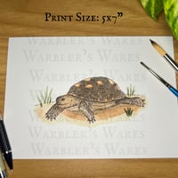 Image 1 of Texas Tortoise Watercolor Painting Print