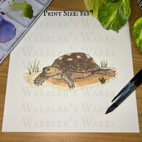Image 2 of Texas Tortoise Watercolor Painting Print