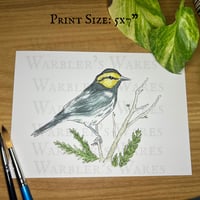 Image 1 of Golden Cheeked Warbler Watercolor Painting Print