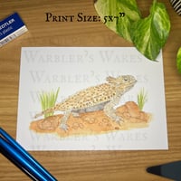 Image 1 of Texas Horned Lizard Watercolor Painting Print