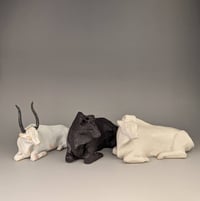 Image 1 of Resting bull