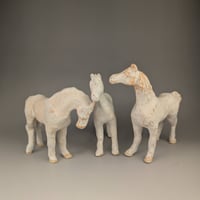 Image 1 of Standing horses