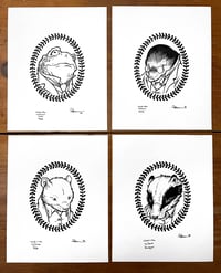 Image 1 of Set of Wind in the Willows Original Art Portraits