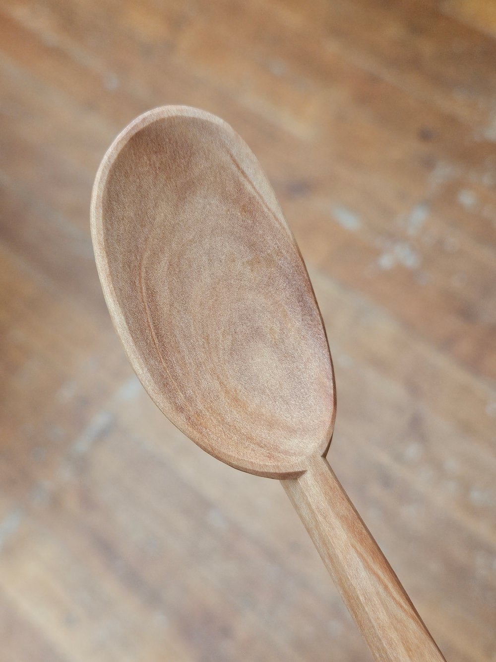 Image of Native Cherry Eating Soulspoon 