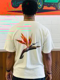 Image 4 of LA NATIVE Birds of Paradise