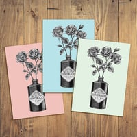 Image 2 of Gin & Roses Colours - Set of Three Prints