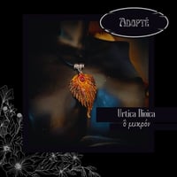 Image 15 of ☽ Urtica Dioica ☾