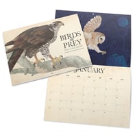 Image 2 of 2026 Birds Of Prey Wall Calendar PRE-ORDER