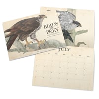 Image 3 of 2026 Birds Of Prey Wall Calendar PRE-ORDER