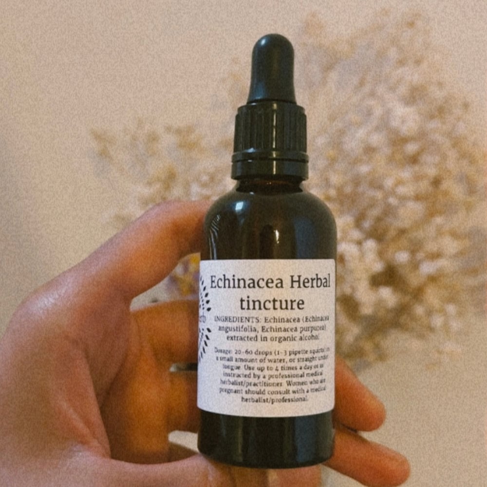 Image of Echinacea tincture 