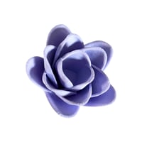 Image 5 of FHOS - Garden