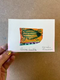 Image 1 of insects / miniature watercolours 