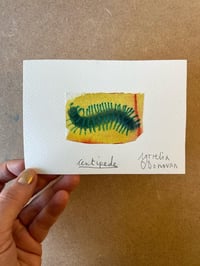 Image 3 of insects / miniature watercolours 