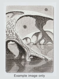 Image 4 of Reflecting Pool Artist proof