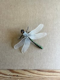 Image 5 of Insect brooches