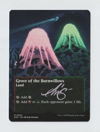 Image 1 of Grove of the Burnwillows Artist proof MtG card