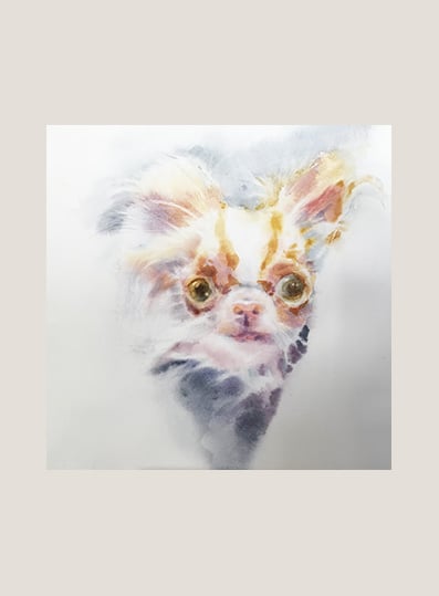 Image of “ 2 Demi Moore's Pilaf.littlemouse “