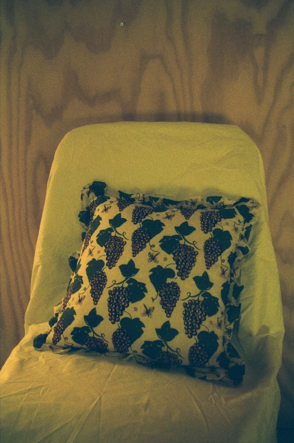 Image of Grapevines and Dragonflies ruffle cushion