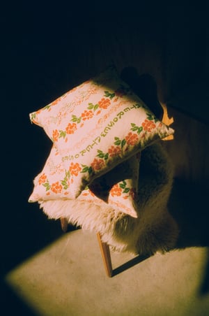 Image of Rosewater cushion