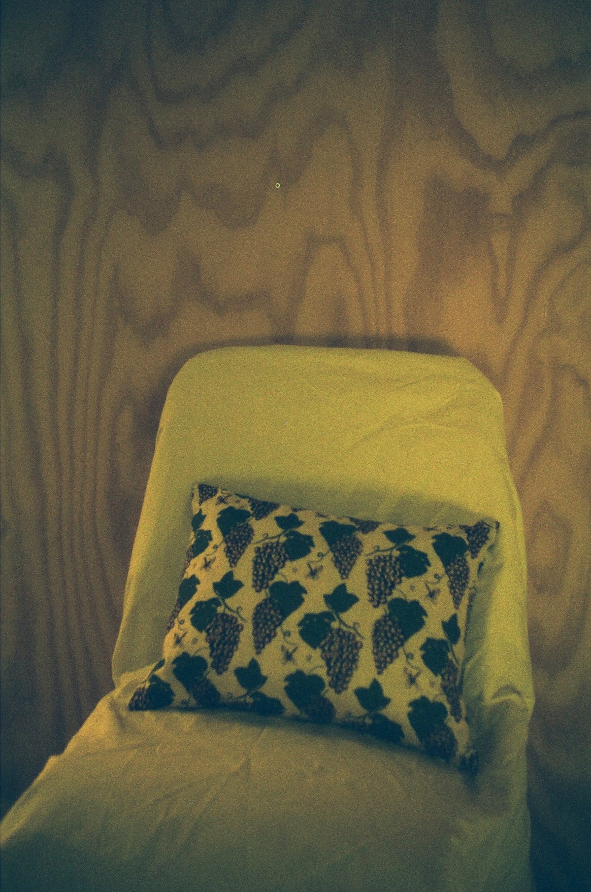 Image of Grapevines and Dragonflies cushion