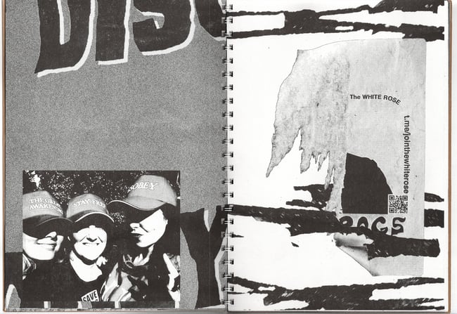 Rabbit Hole - George W Stewart 