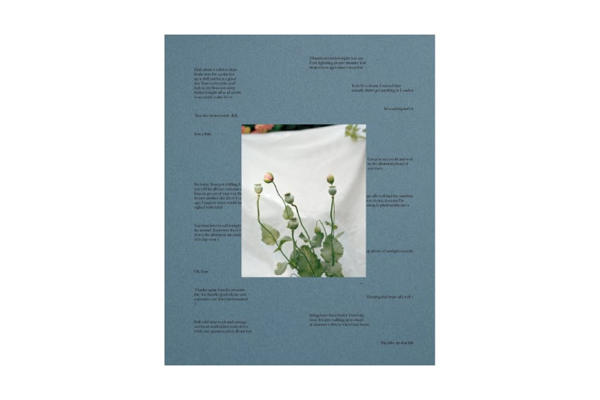 Image of Poppy Promises - Thomas Duffield