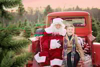 Image 3 of Santa at the tree farm 2025