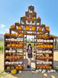 Image 6 of Strangeland Crop Tank