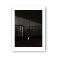 Pierfrancesco Celada 1