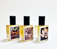 Image 2 of AUTUMN PERFUME OILS - 10 ml, Choose from 8 different scents