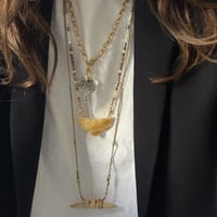 Image 7 of Cordons Maguelone